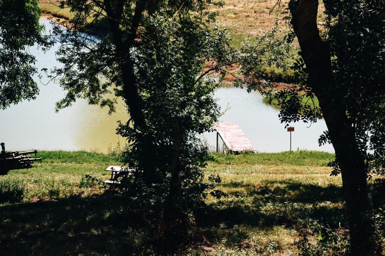 Cocoon, bord de lac, piscine chauffée 11 per Plieux Esterno foto